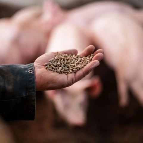 Sales DE 4 - ForFarmers team agrar