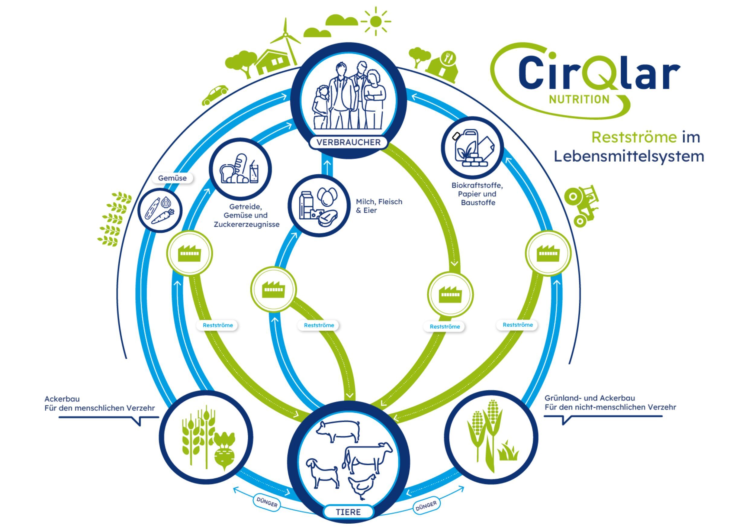 Infographic cirqlar DE