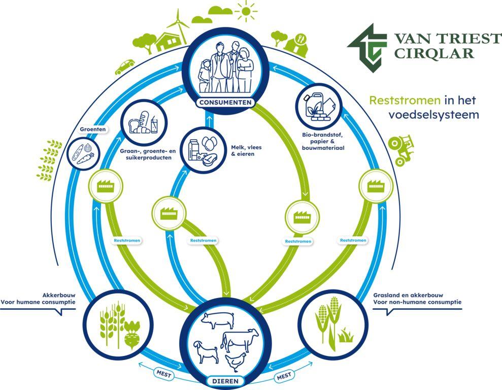 Infographic Cir Qlar 2025 met VTC