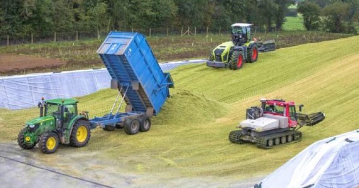 CirQlar Nutrition - Best practice for making silage for AD plants