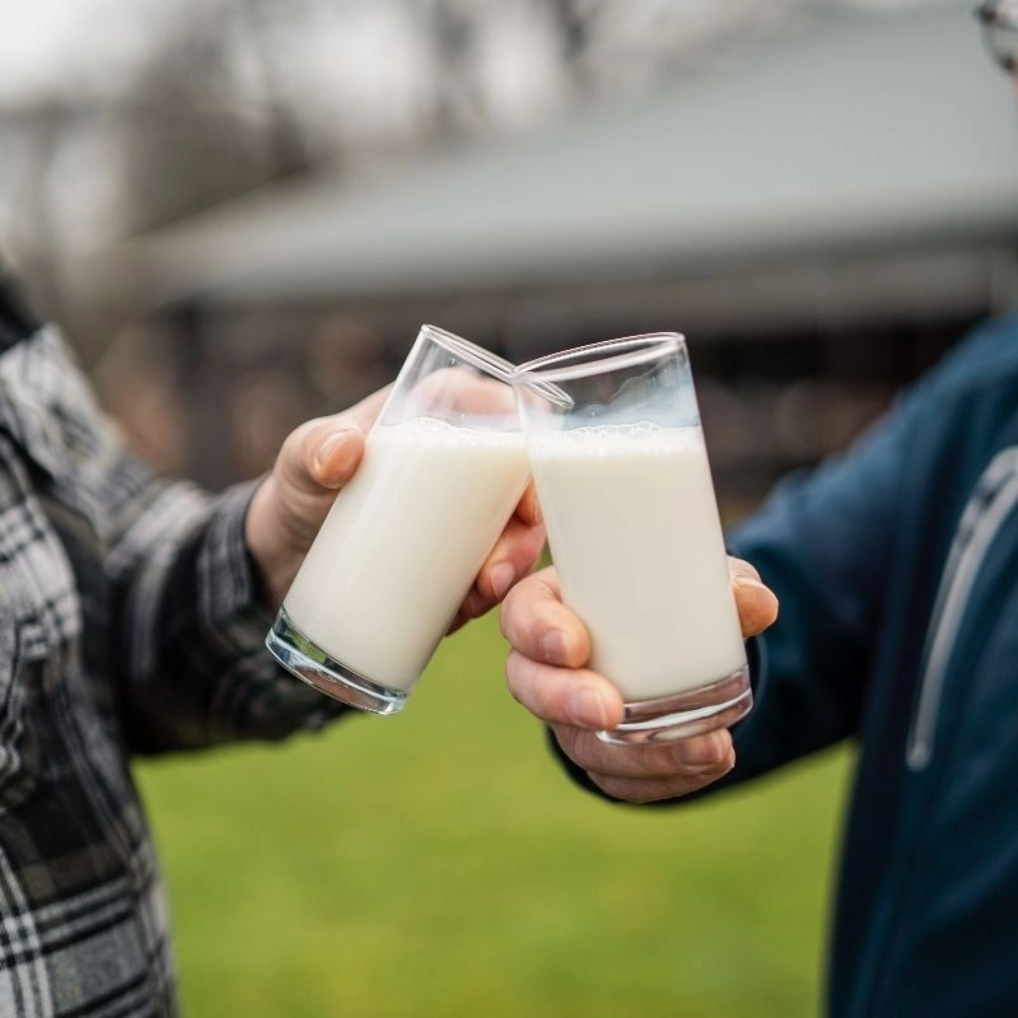 Milch