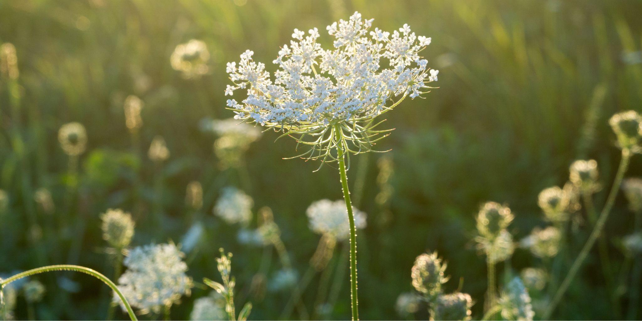 Nachhaltigkeit Header 2048 1024