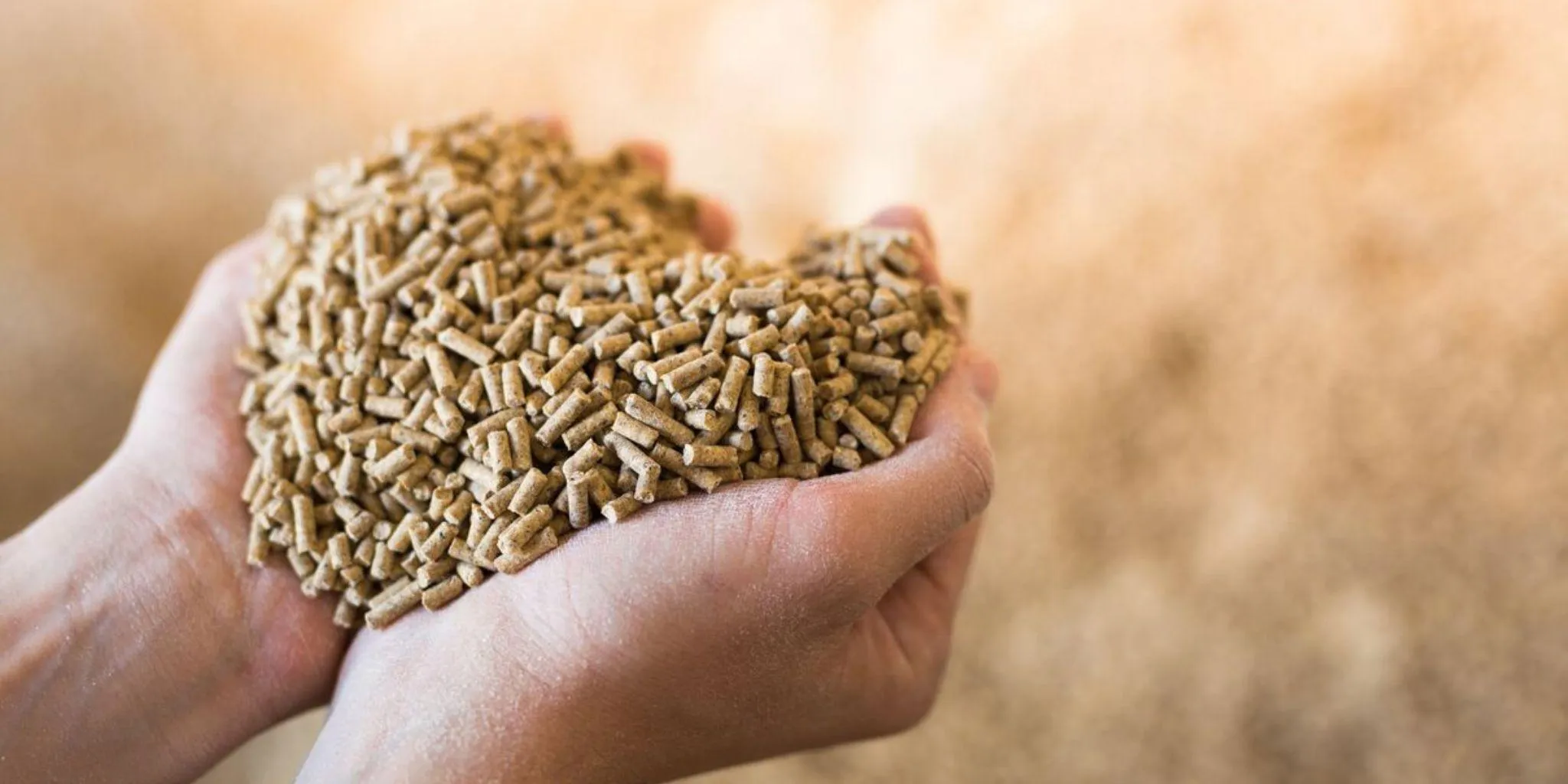 Futter Beratung Hilfsmittel 2048 1024 px - ForFarmers Thesing
