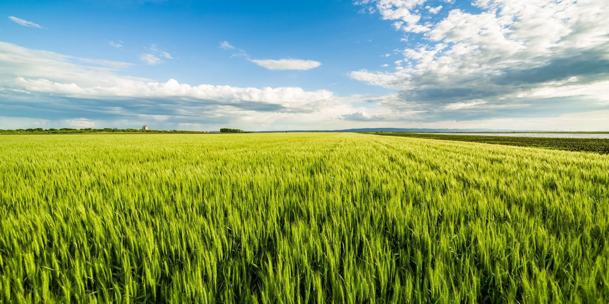 Kopie van Header 2048 1024 px - ForFarmers team agrar