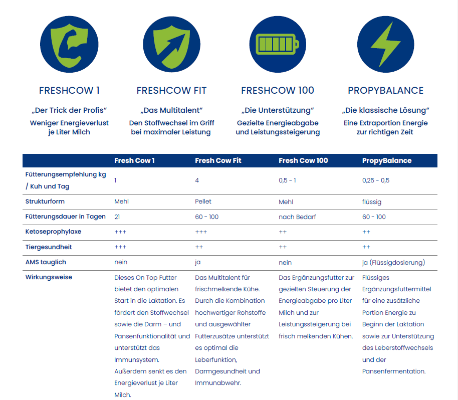 Fresh Cow vier Futterungsstrategien