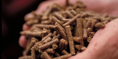 Feed Featured link Custom item 600 300 px - ForFarmers Group (NL)