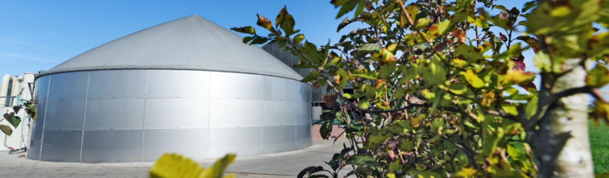 Mestvergister header news - ForFarmers Group (EN)
