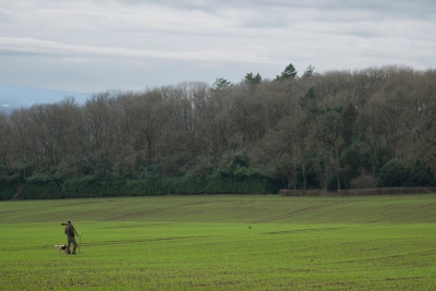 Marsdens 2025 02 - ForFarmers UK