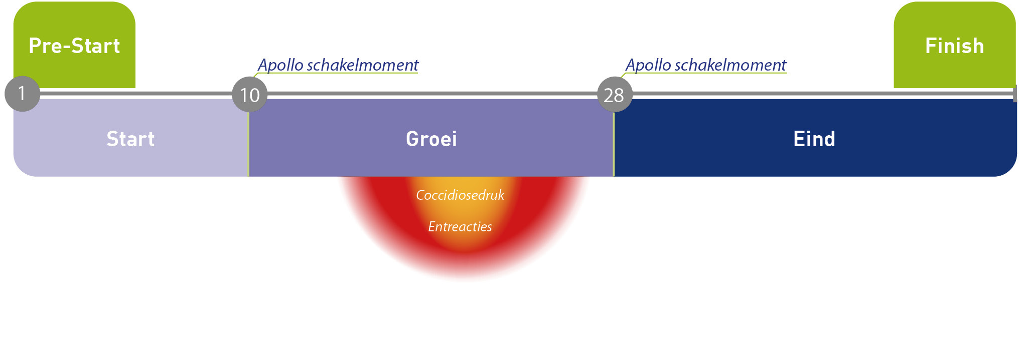 Apollo FFDH schakelmomenten