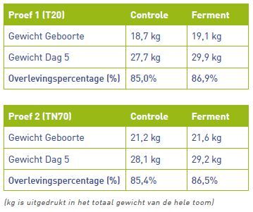 Biggen starten beter en meer biggen blijven leven