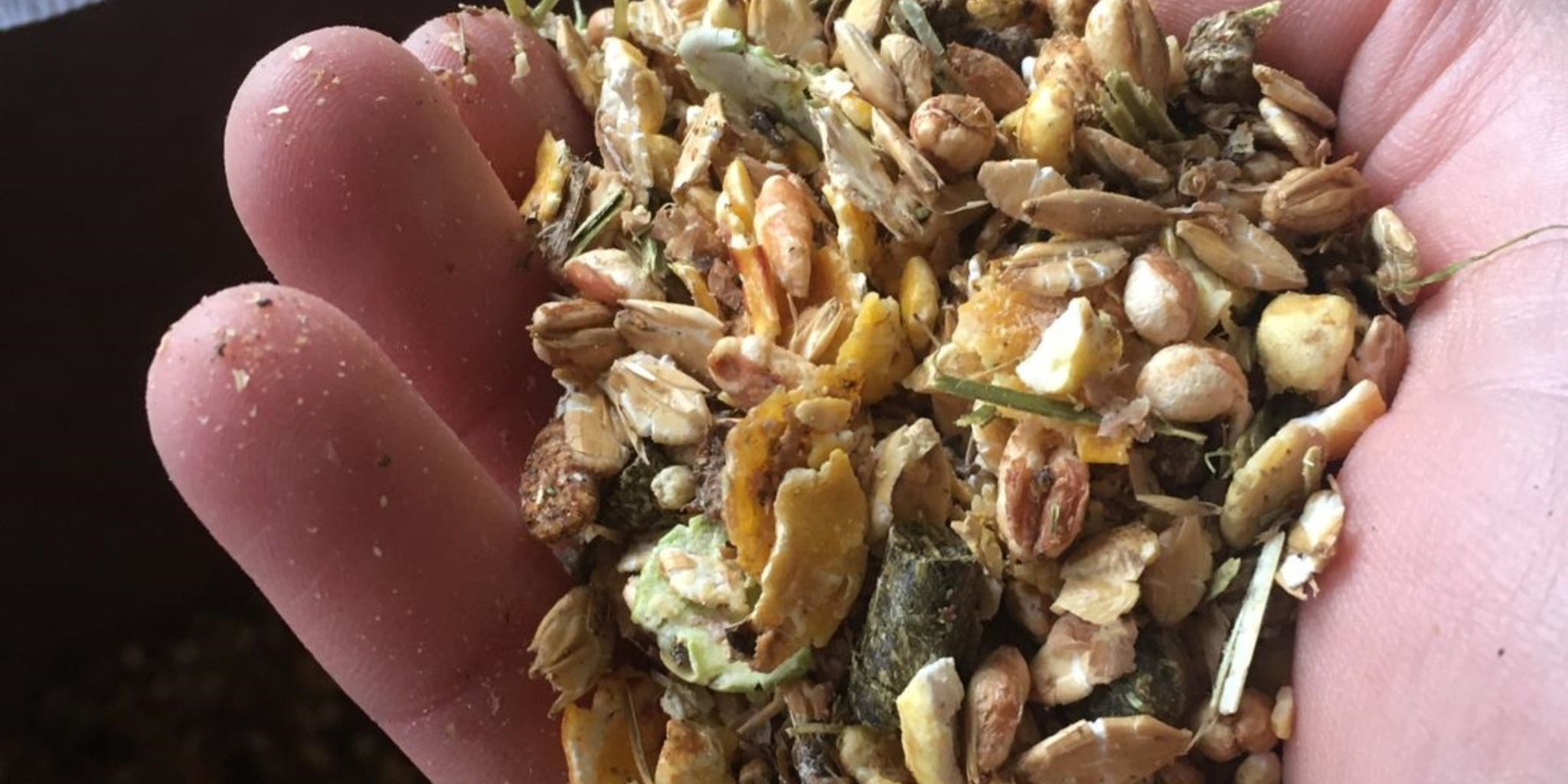 Hand met Vida muesli Header news - Primary site