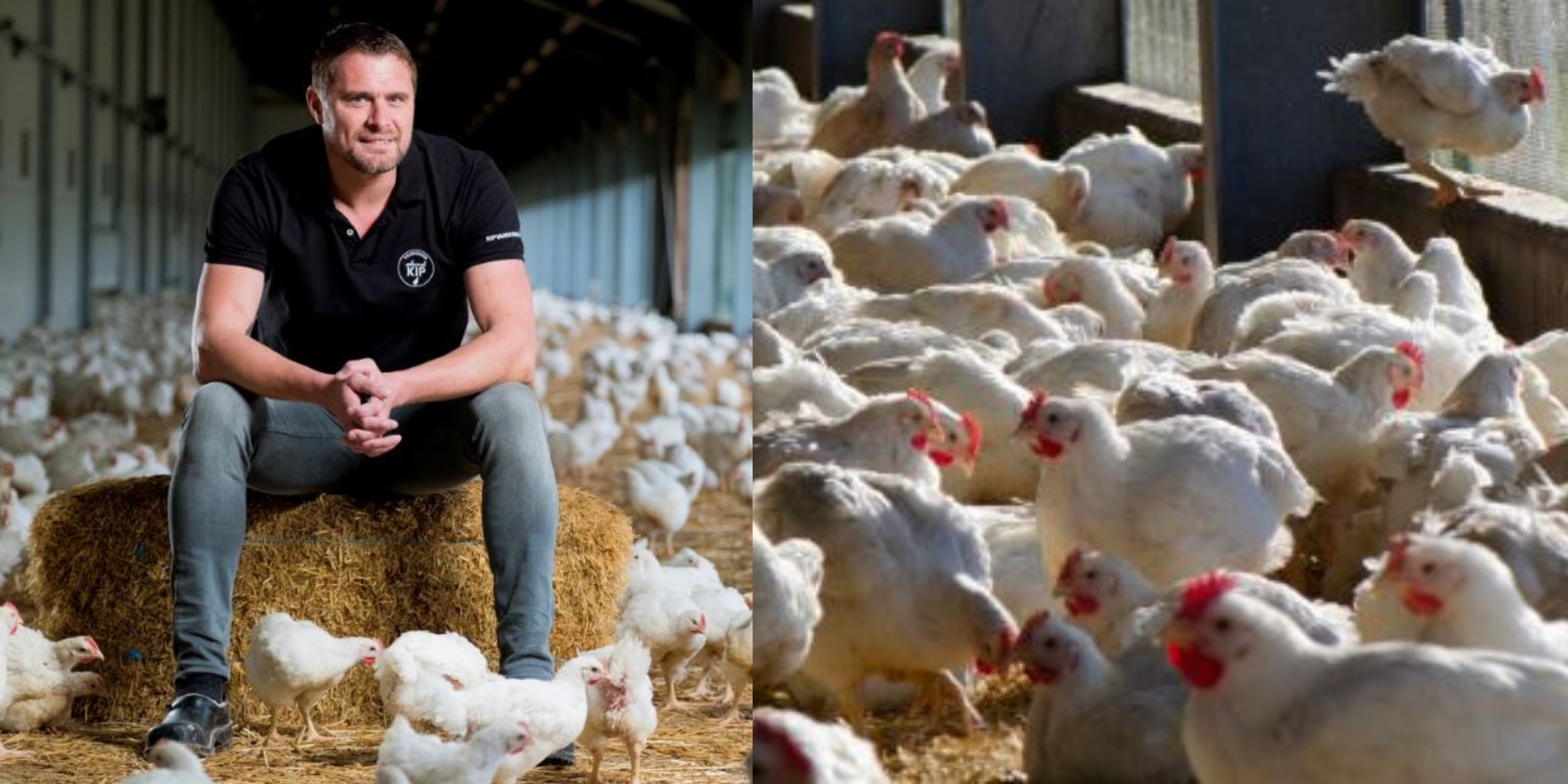Header Erik van Veldhuisen - Primary site
