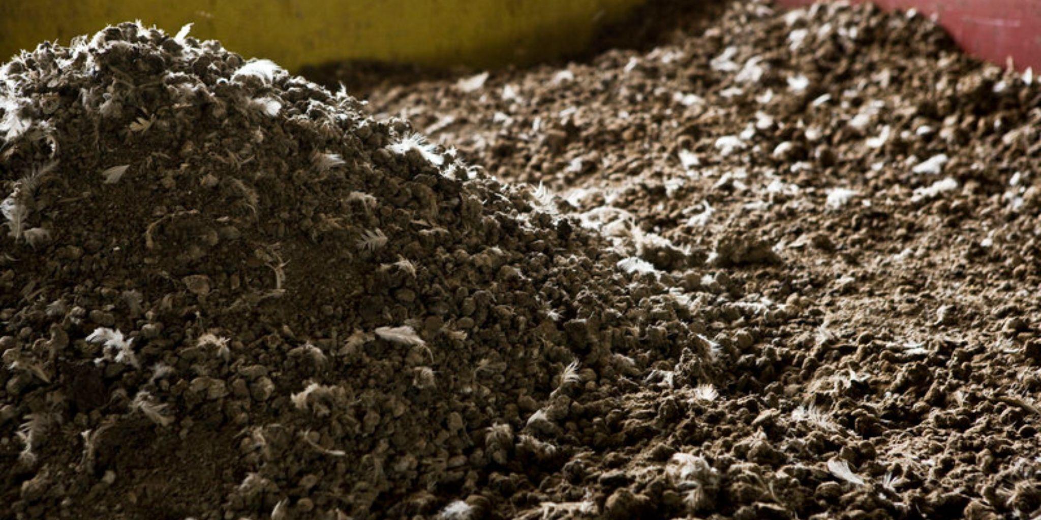 Header Mestwetgeving intensief - Tjoelker Fouragehandel