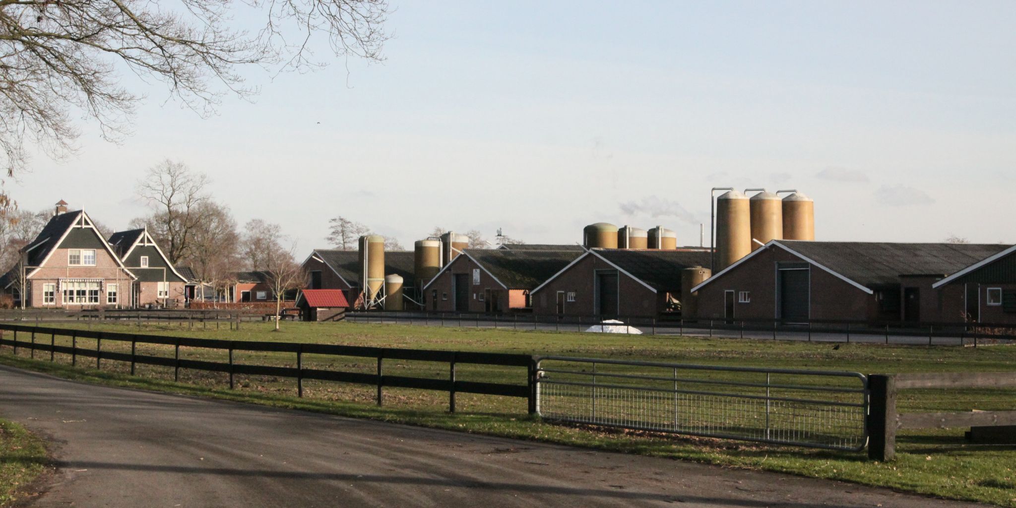 Header pluimvee Heusinkveld - Primary site
