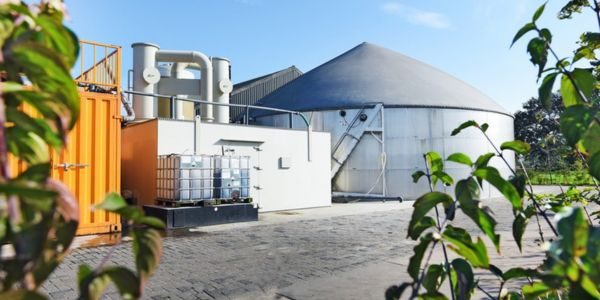 Let op nieuwe provinciale subsidieregeling in Gelderland - Tjoelker Fouragehandel
