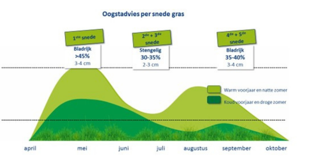 Oogstadvies per snede gras oogstadvies 2e snede website