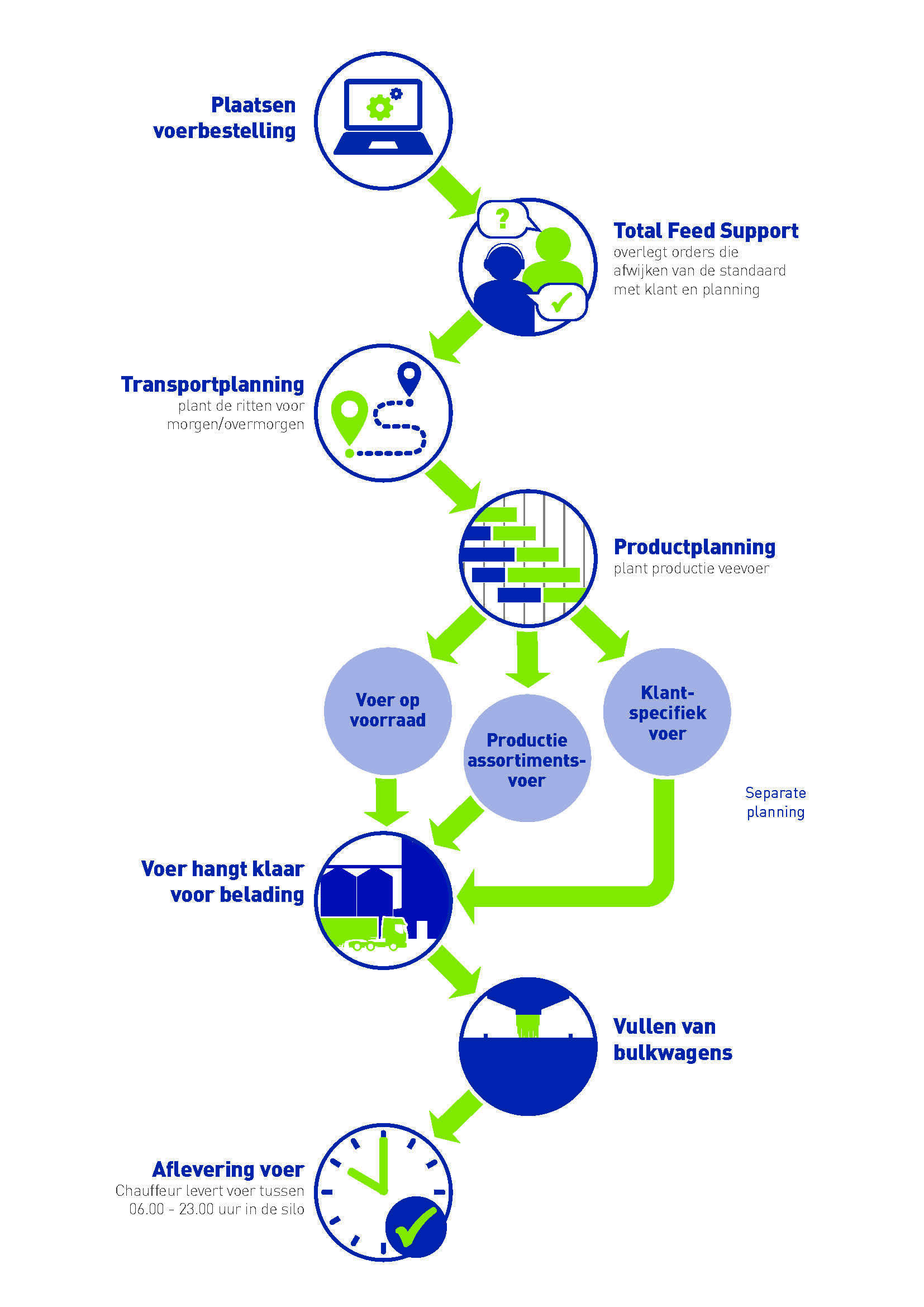 Order process infographic DEF