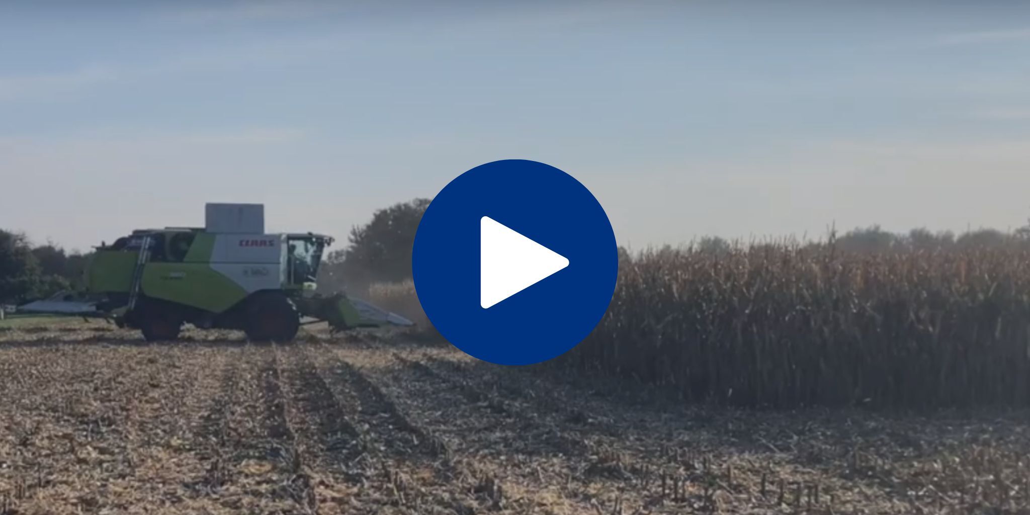 Video CCM kuil - Primary site