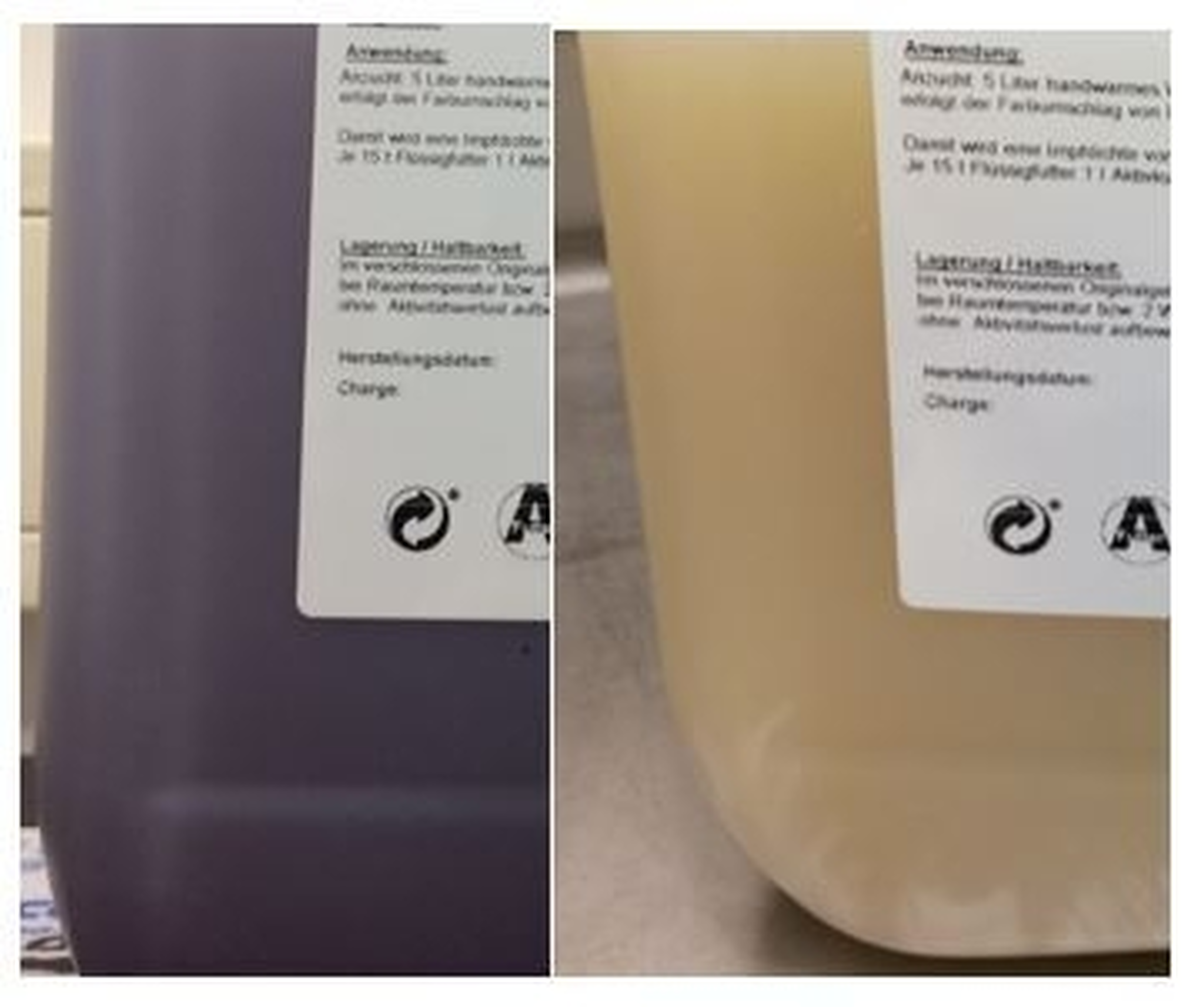 Droge bacterie