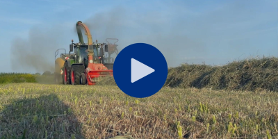 F Flog Monique website hooi - ForFarmers Nederland