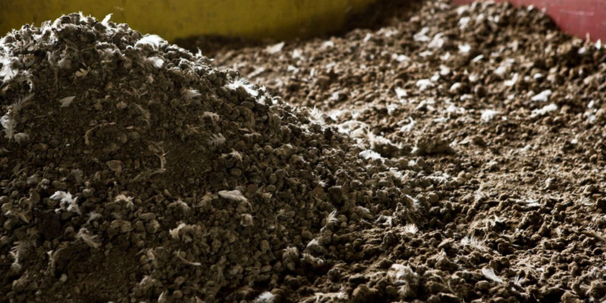 Header Mestwetgeving intensief - ForFarmers Nederland
