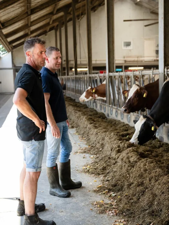 Slim voeren op topsportniveau advies in de stal V2