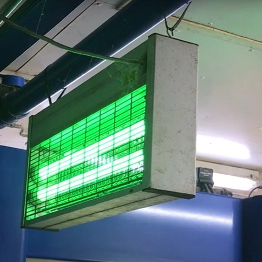 Elektrische vliegenlamp