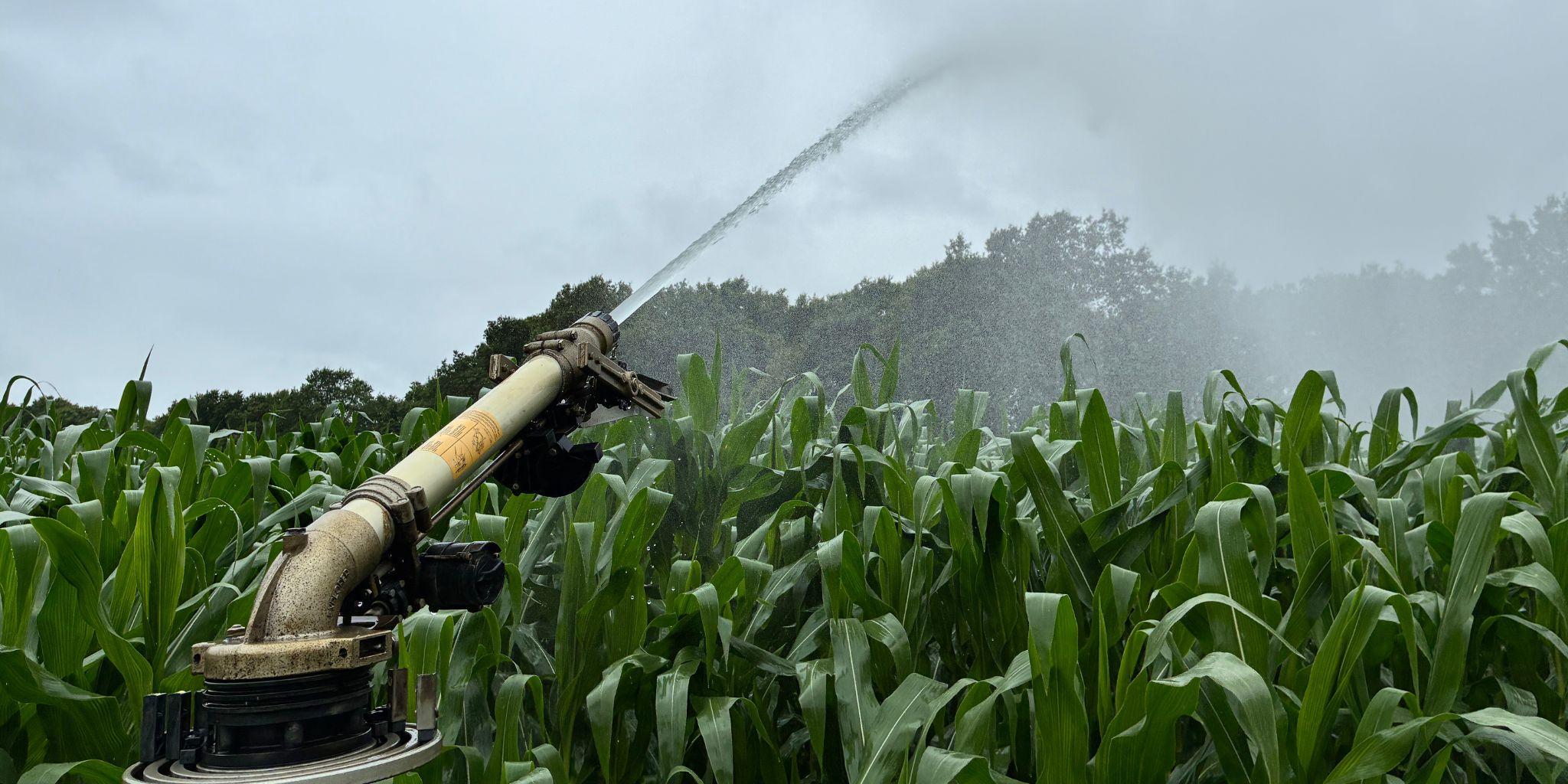 Mais beregenen 1 - Klantenservice ForFarmers Dealers