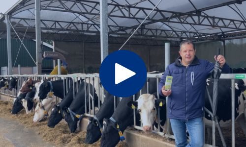 F Flog Gerco Nieuwe kijk op transitie - Tjoelker Fouragehandel