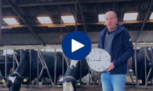 F Flog Johannes voorbereiding afkalfpiek 500x300 - Tjoelker Fouragehandel