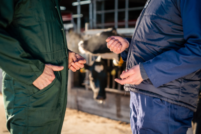 Melkvee ZDWD 6 1 - ForFarmers Nederland