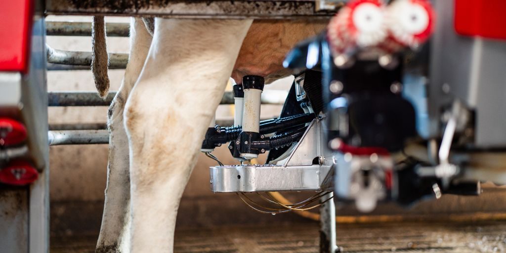 Uiers robotmelken - Tjoelker Fouragehandel