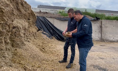Video Gerco en Remco Ensink - Tjoelker Fouragehandel