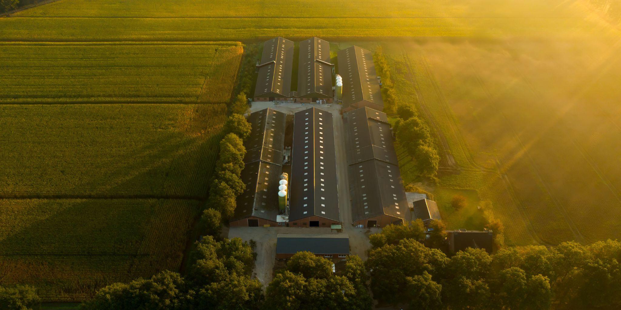 Header hoog De Haas - Primary site