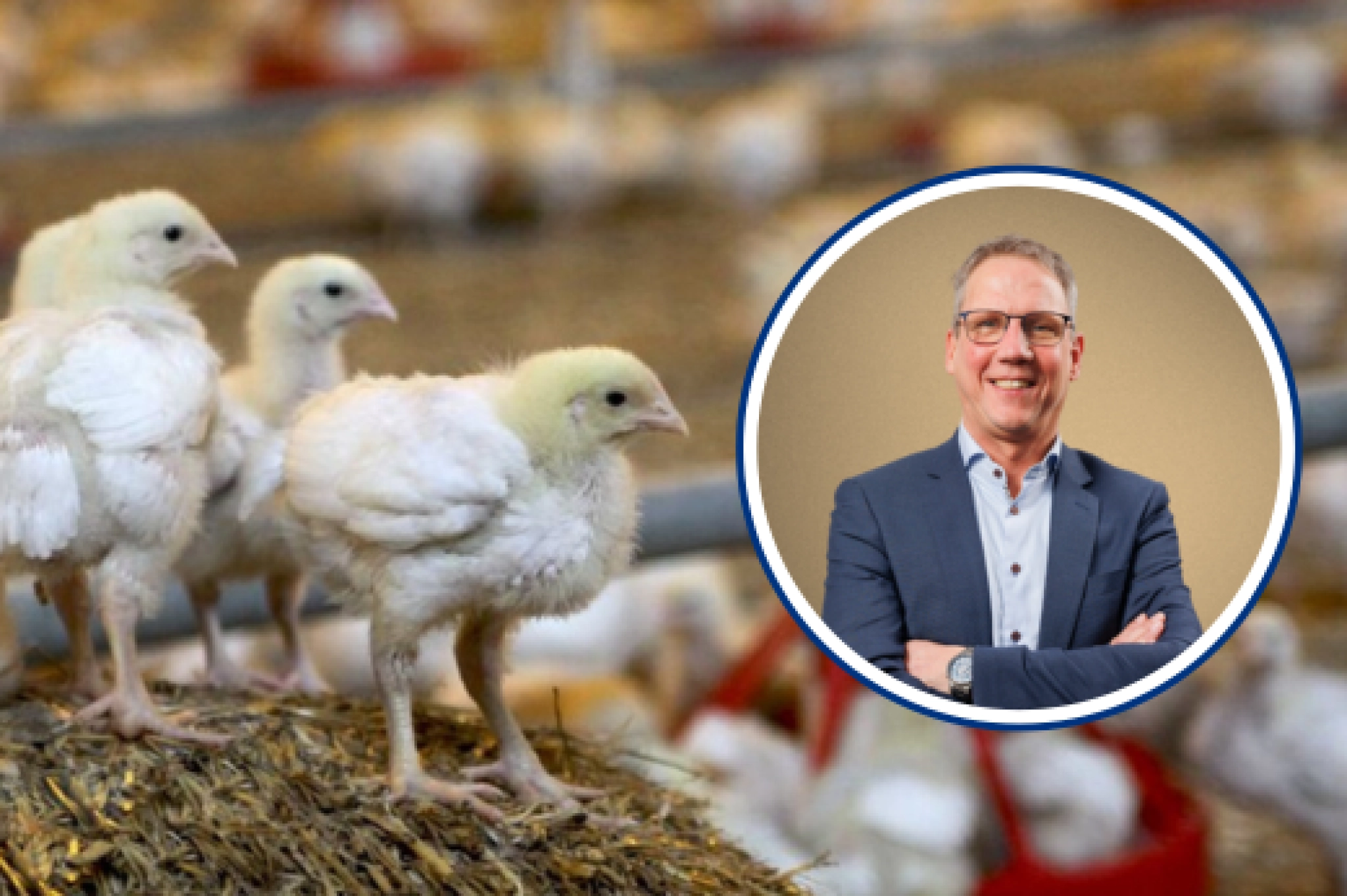 Vleeskuiken met Henk Roordink