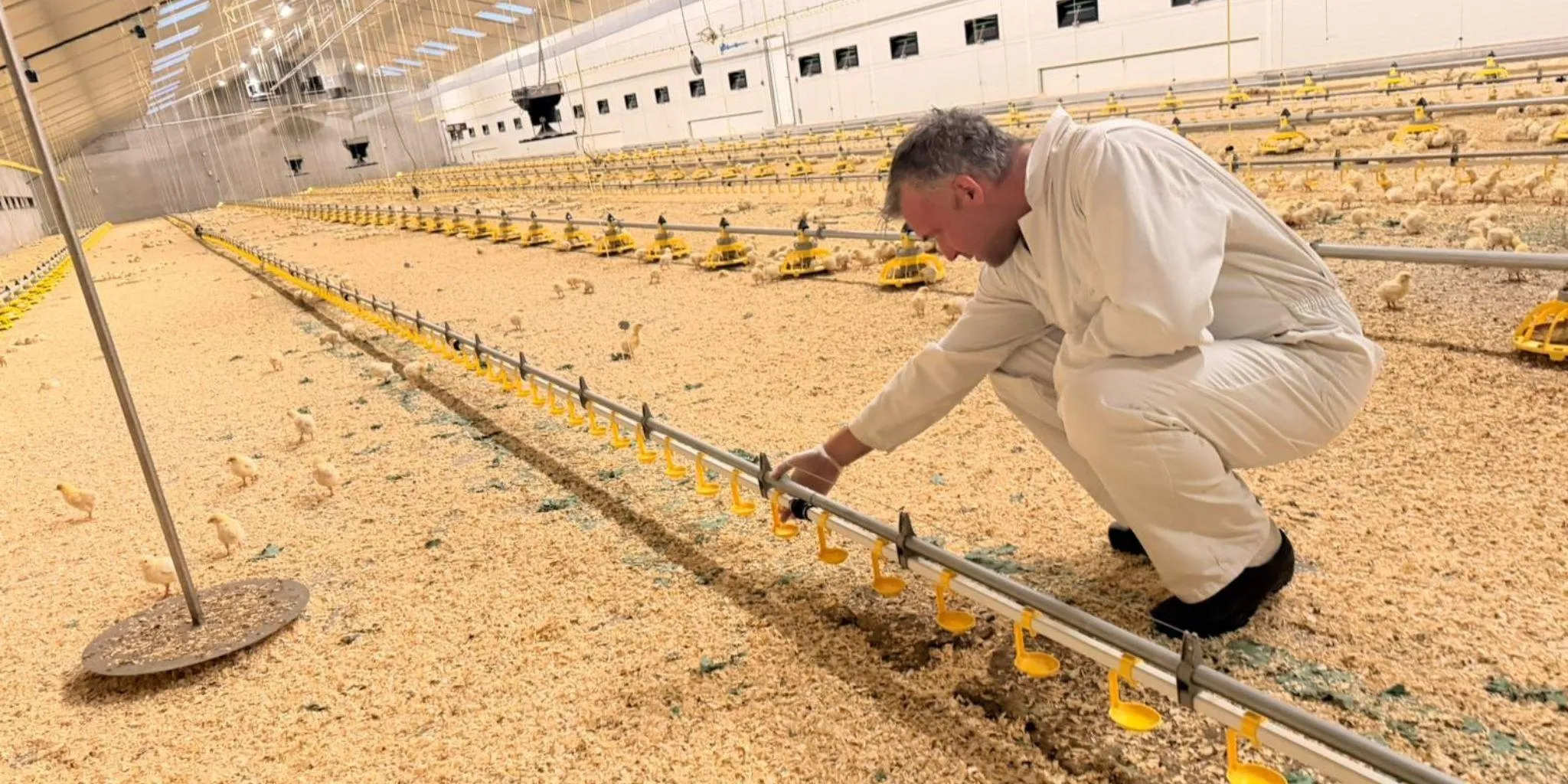 Header Gerwing - ForFarmers Nederland