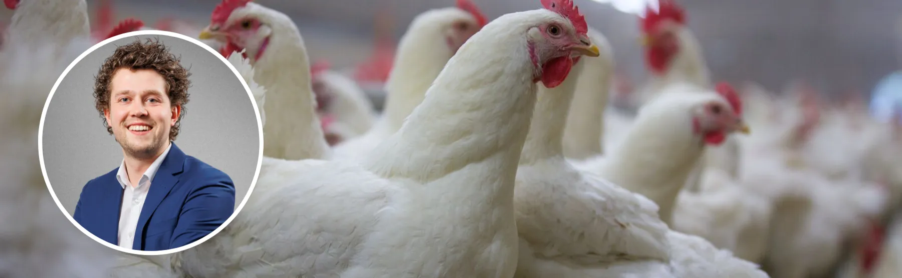 Header Easy Start Robin - ForFarmers Nederland