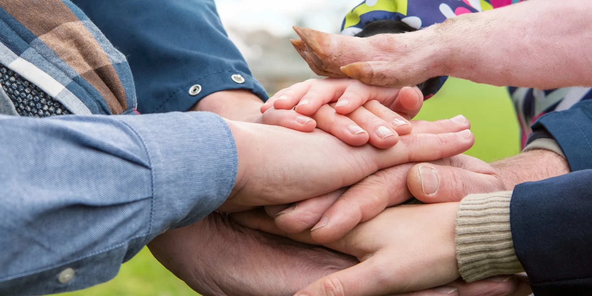 BIG-family-handen-header-news - ForFarmers Nederland