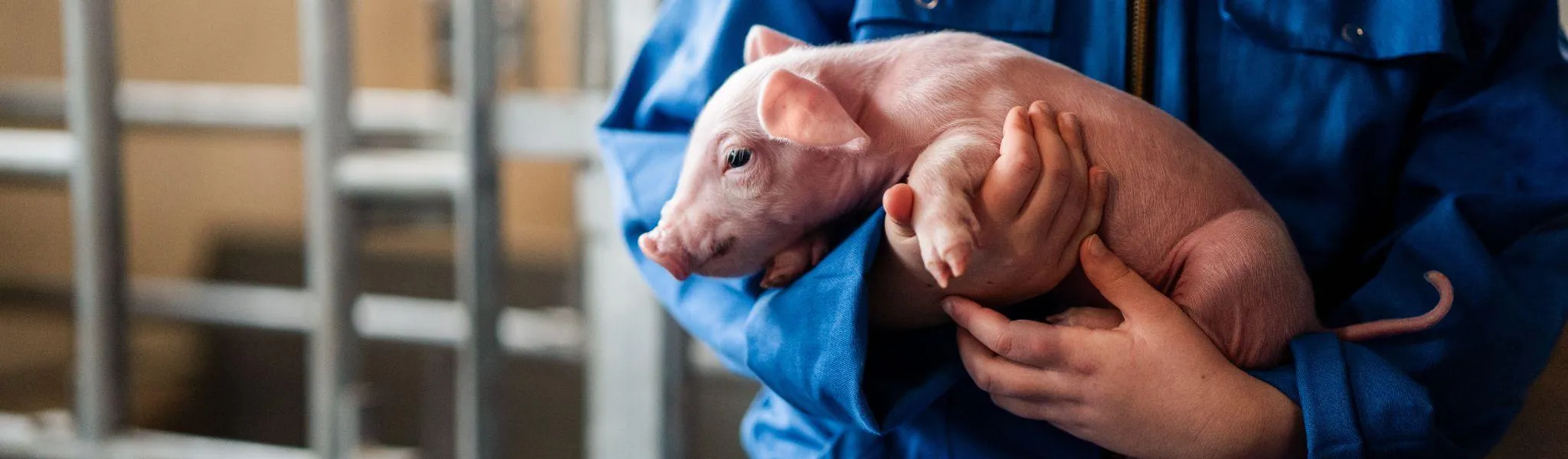 Big 1 header 2048 x 600 - ForFarmers Nederland