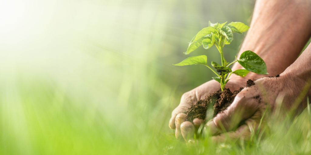 Hart voor bio groene afbeelding - Reudink GmbH