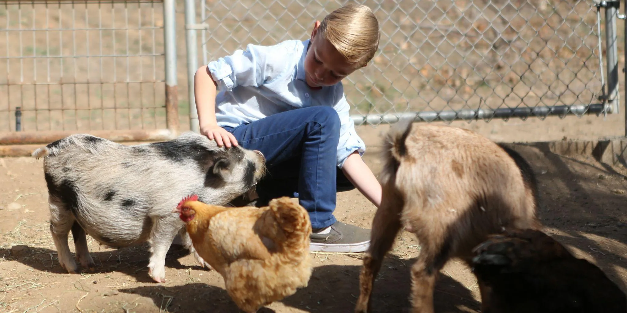 Huis en hobbydierenvoer jongetje met dieren header - Reudink Nederland