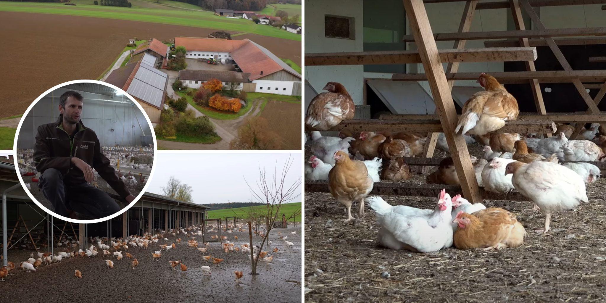 Header Moser reportage
