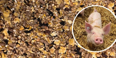 Header web blije big in stro met muesli - Reudink Nederland
