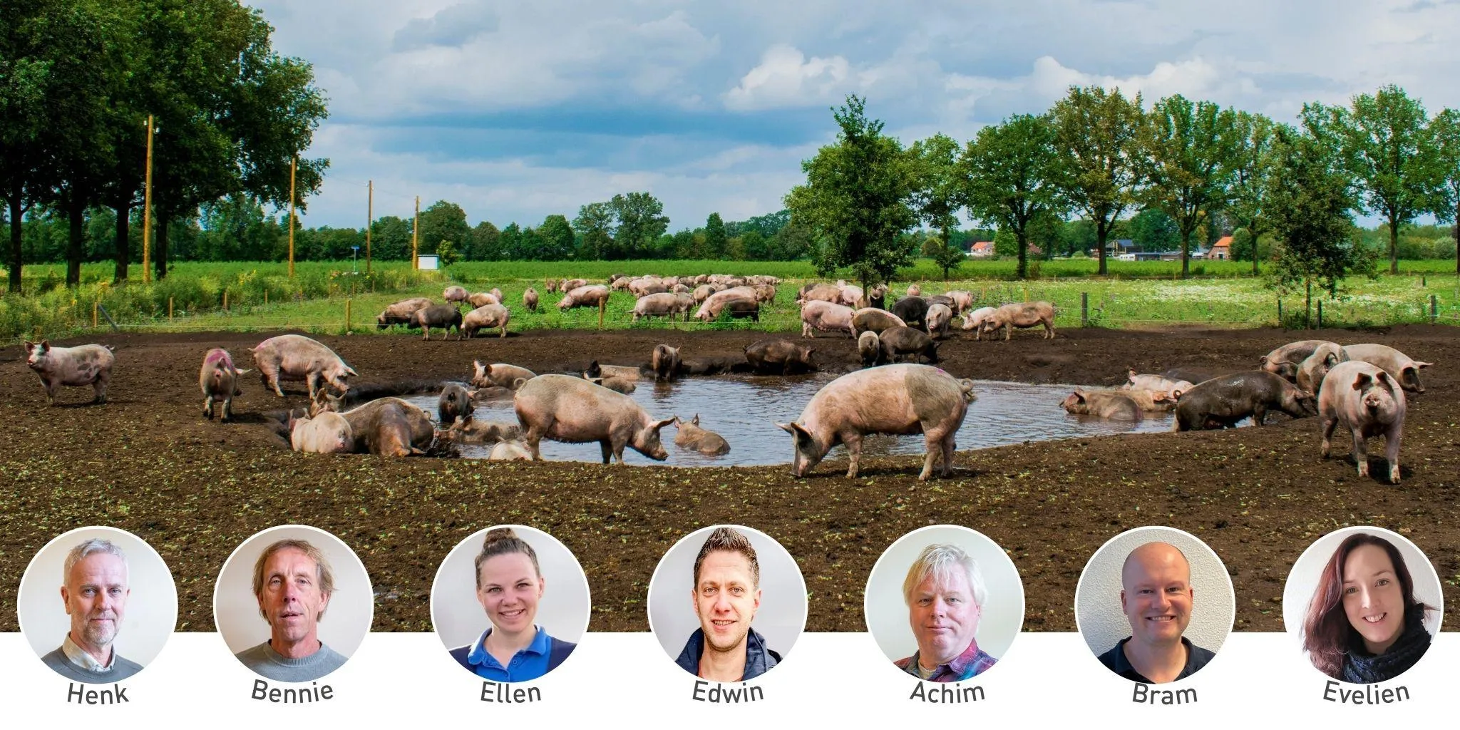 Headers Reudink varkensteam - Reudink Nederland