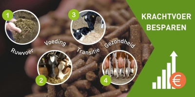 Header web reudink kv besparen 25 - Reudink Nederland