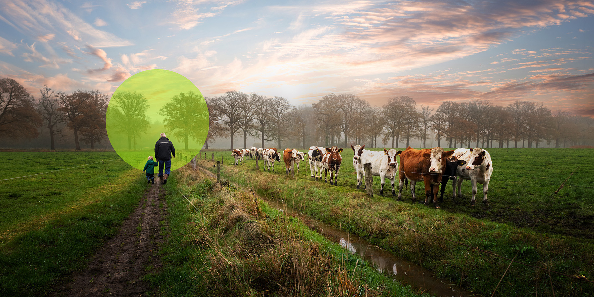 CMS Header Reudink 2026 Melkvee - Reudink Nederland