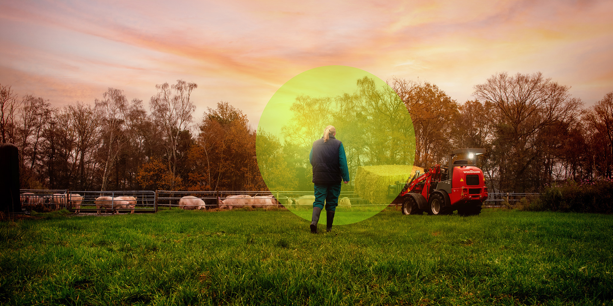 CMS Header Reudink 2026 Varkens - Reudink Nederland