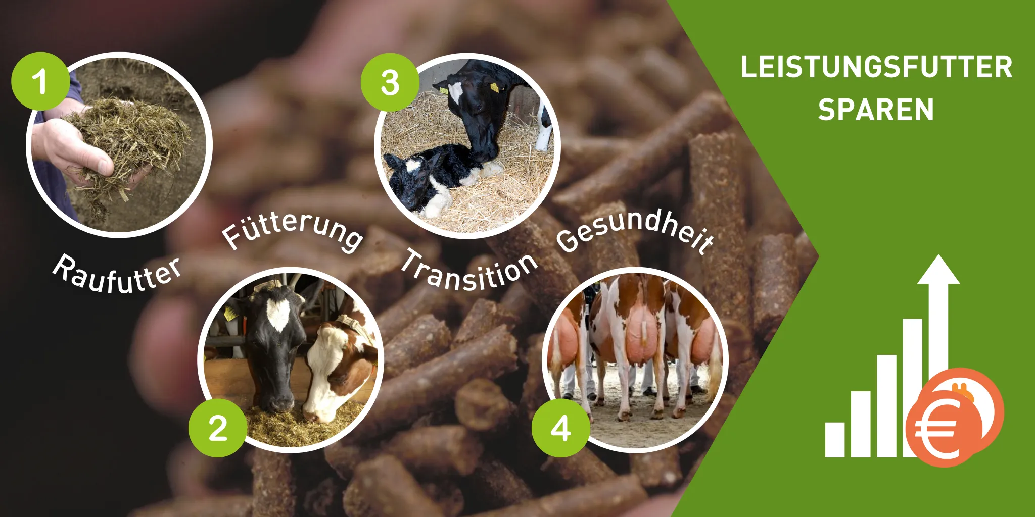 Headers Reudink web Leistungfutter sparen 25 - Reudink GmbH