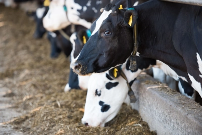 Spond Farm OFS16 53 - ForFarmers UK