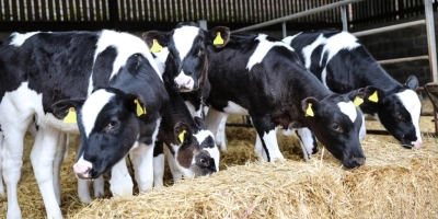 VITA cover image - ForFarmers UK